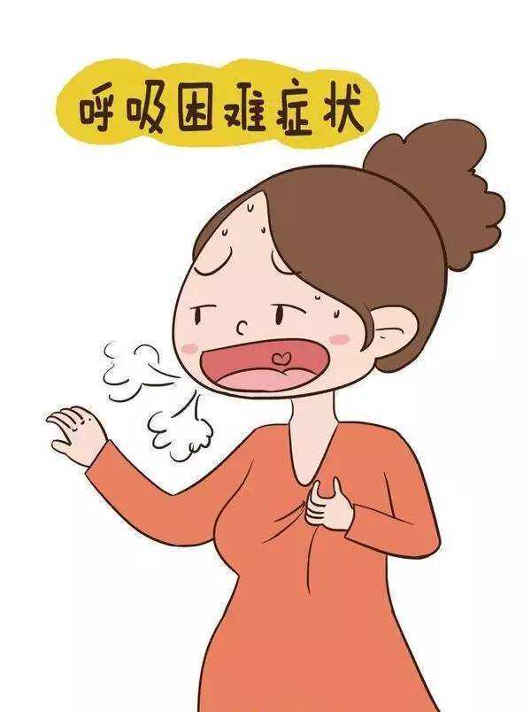 鲜胚、冻胚、囊胚，移植哪个成功率更高⁉,代孕公司流程，代孕手术费用