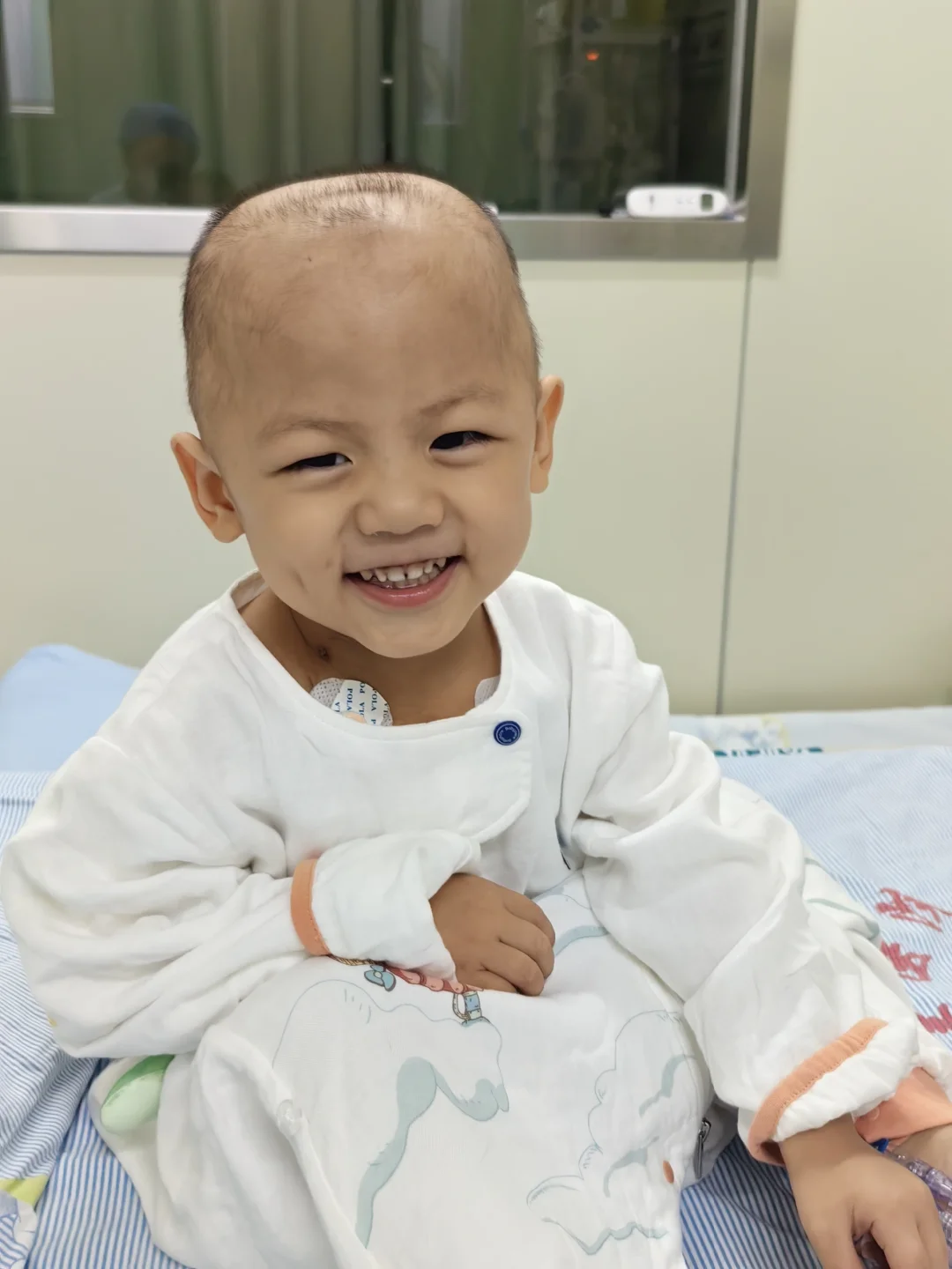 地贫宝宝历险记13,代孕的成功率多少