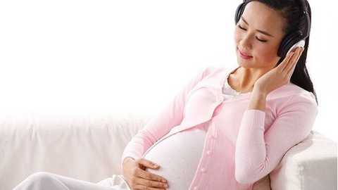 地贫宝宝历险记13,代孕的成功率多少