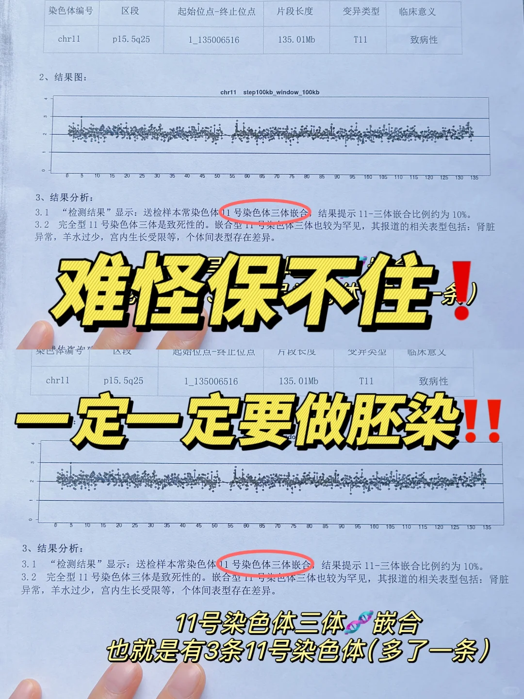 罕见的胎停原因❗2500元的胚检结果已出,圆梦代孕中心
