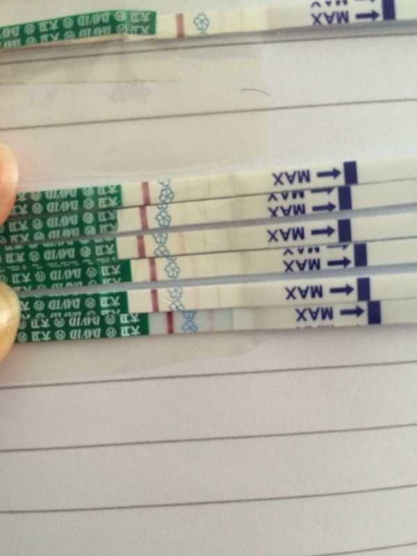 子宫肌瘤饮食禁忌‼️,代孕包女孩费用&国内借卵子多少钱