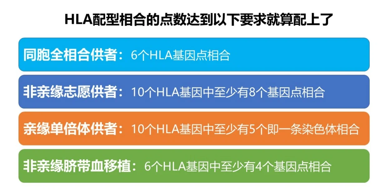 移植知识学习笔记—配型,代孕包成功费用多少_代孕精子卵子谁提供